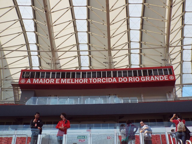 我们看到李 我们看到李