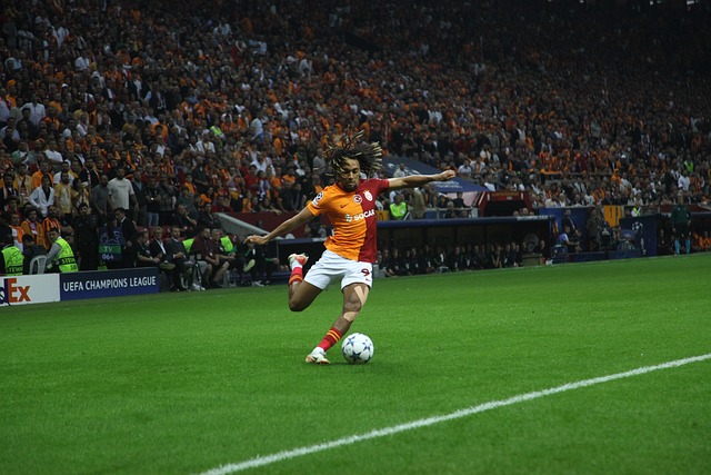 是因為有效 是因為有效