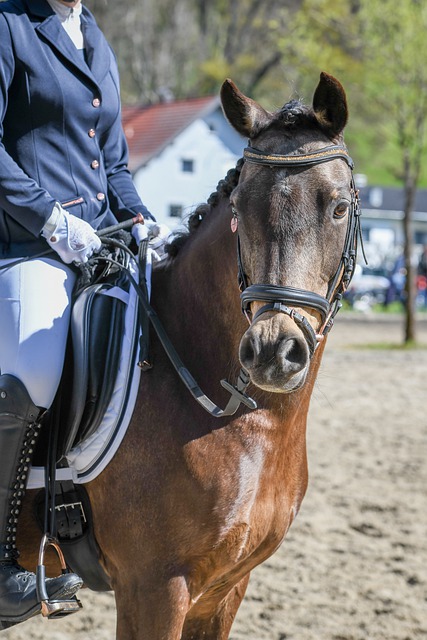 圭多即將簽約西漢姆兩年，周六進行體檢.