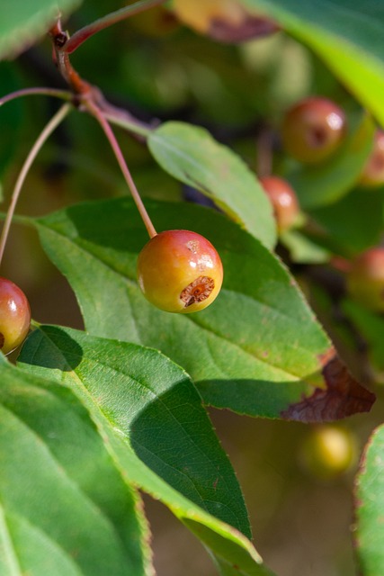 中超-法比奥轰世界波赵宇豪柏杨染红 国安客场2-0玉昆.