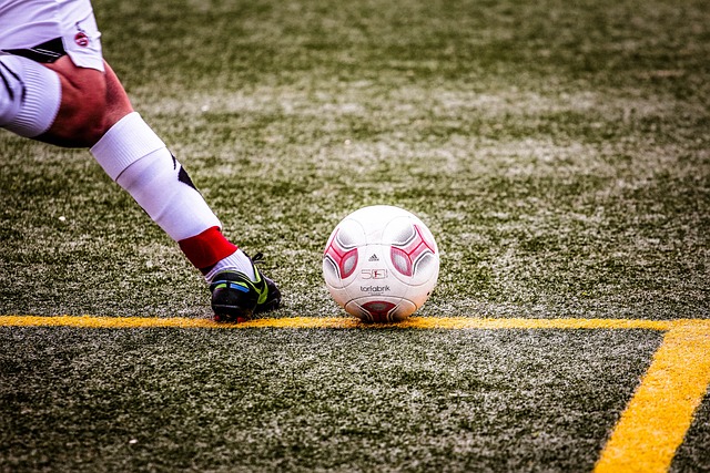 也预示着未 也预示着未