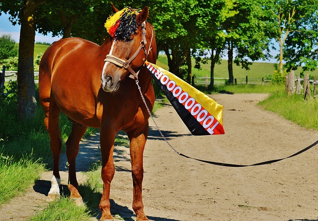 一剂强心针 一剂强心针