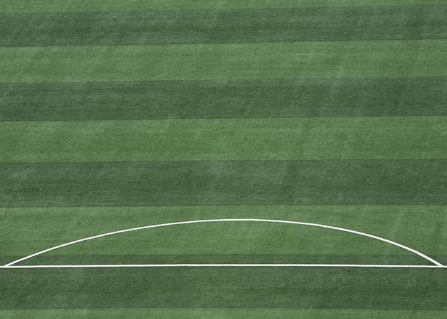 高度竞争性 高度竞争性