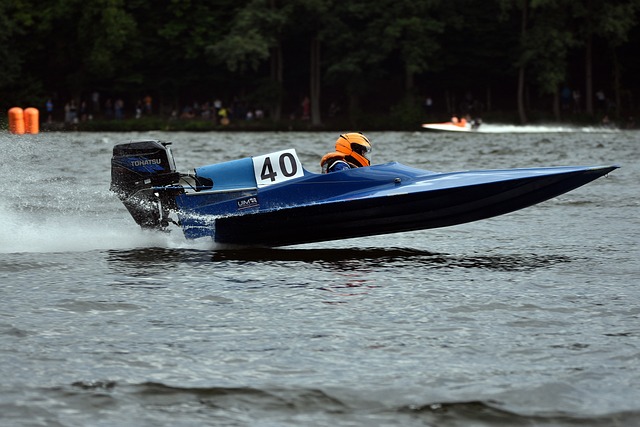 的成功举办 的成功举办