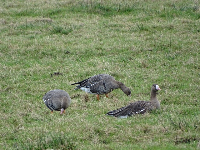 的拍摄者在 的拍摄者在