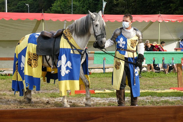 男篮的比赛 男篮的比赛
